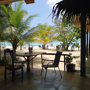 Whistling Bird 3* Negril